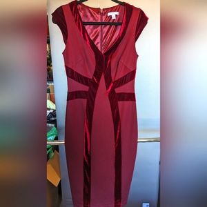 Bodycon Velvet New York & Co Dress